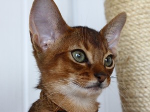 IMG_9040