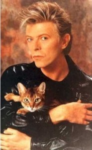 David Bowie