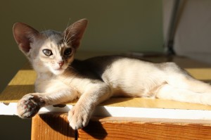IMG_8241_rev