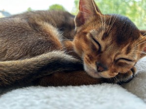 IMG_0193